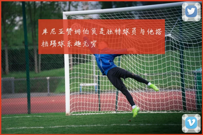 库尼亚赞姆伯莫是独特球员与他搭档踢球乐趣无穷