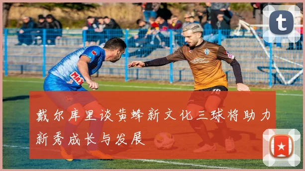 戴尔库里谈黄蜂新文化三球将助力新秀成长与发展