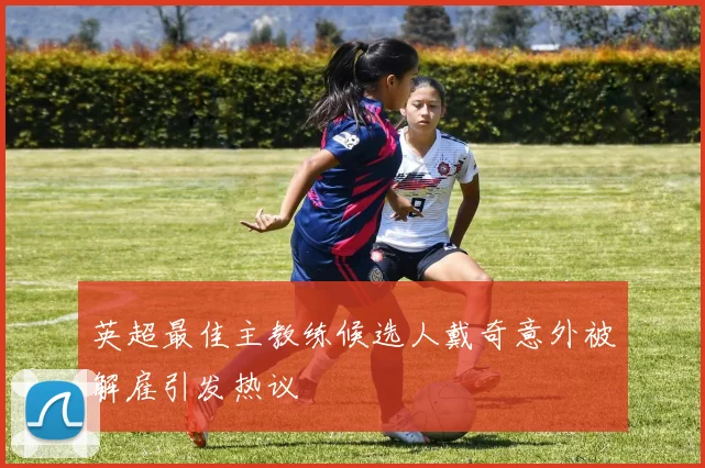 英超最佳主教练候选人戴奇意外被解雇引发热议